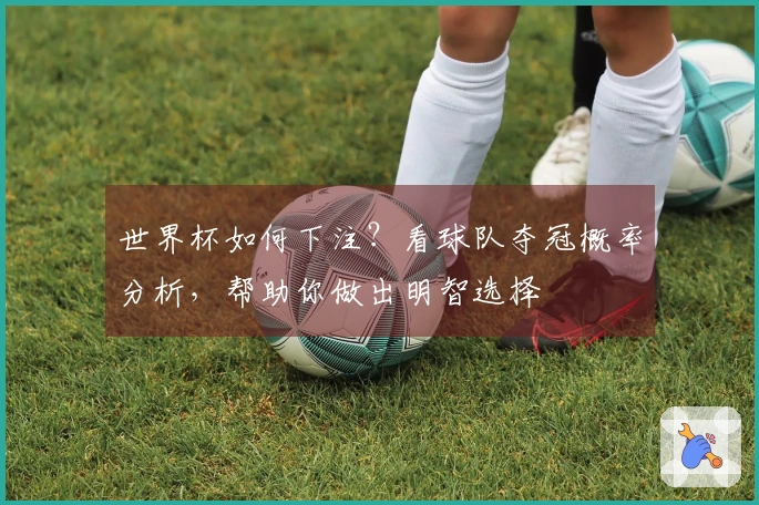 世界杯如何下注？看球队夺冠概率分析，帮助你做出明智选择