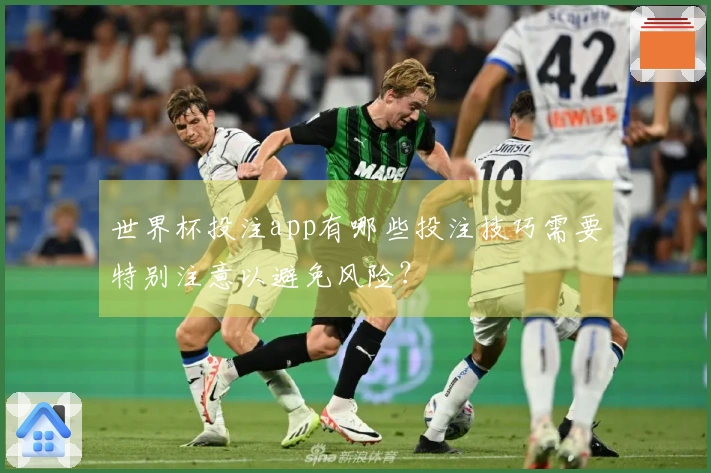 世界杯投注app有哪些投注技巧需要特别注意以避免风险？