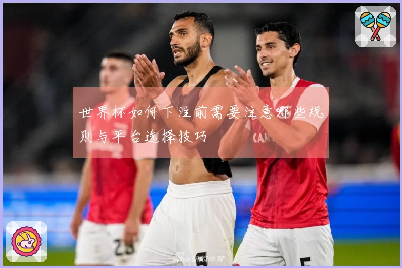 世界杯如何下注前需要注意哪些规则与平台选择技巧