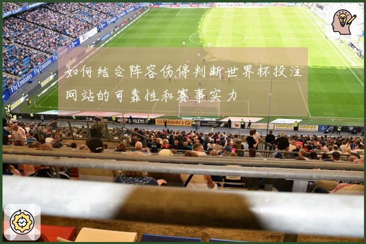 如何结合阵容伤停判断世界杯投注网站的可靠性和赛事实力